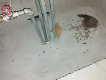 吉安市卫生间测漏水价格明细