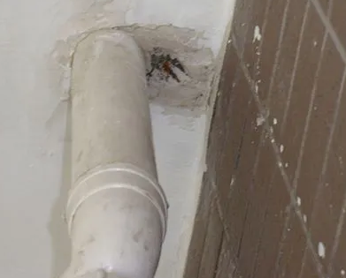 吉安市漏水检测哪家好